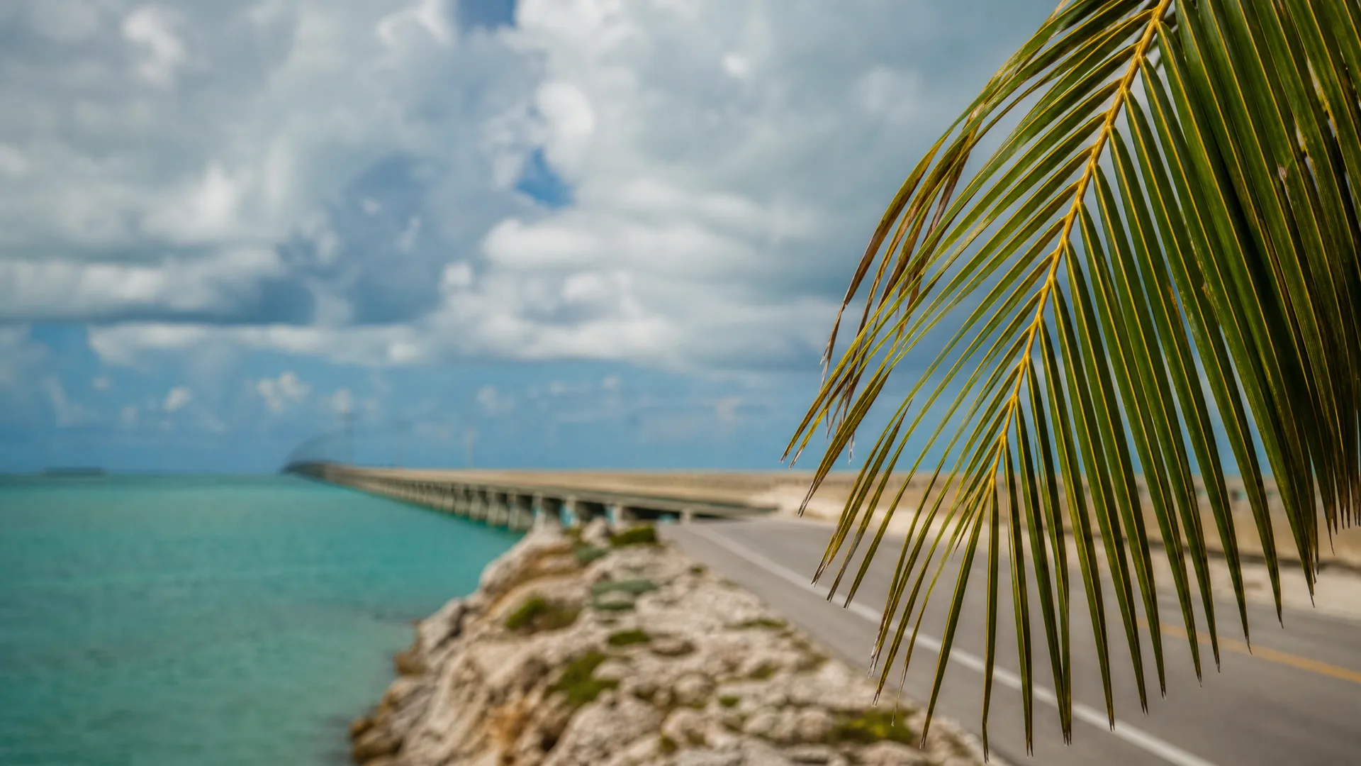 A palm frond in sharp focus in the foreground frames a blurred coastal road and long low bridge extending over turquoise water beneath a cloudy sky, with a rocky limestone embankment below.
