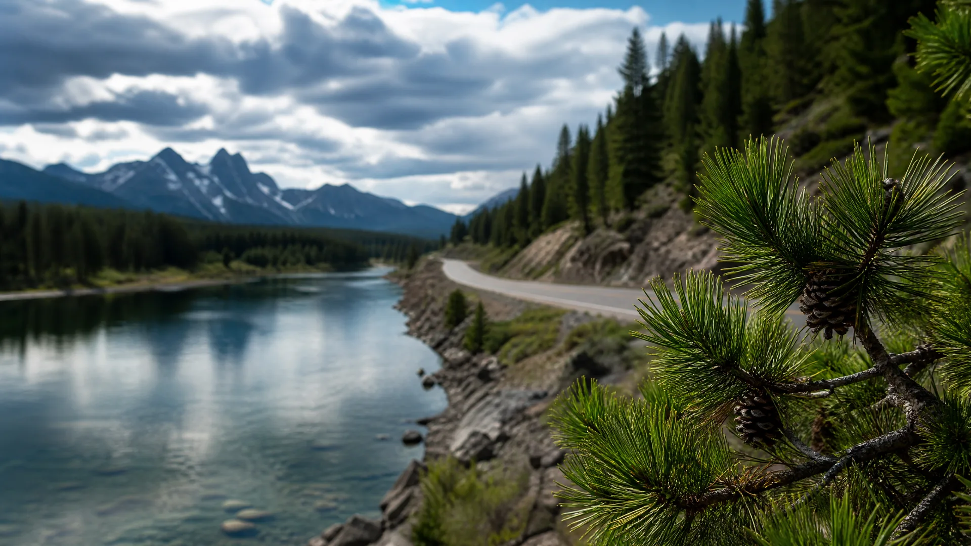 A river beside a curving paved road and rocky bank, with conifer-covered slopes, snow-streaked mountains under a cloudy sky, and a pine branch with cones in sharp focus at the right.
